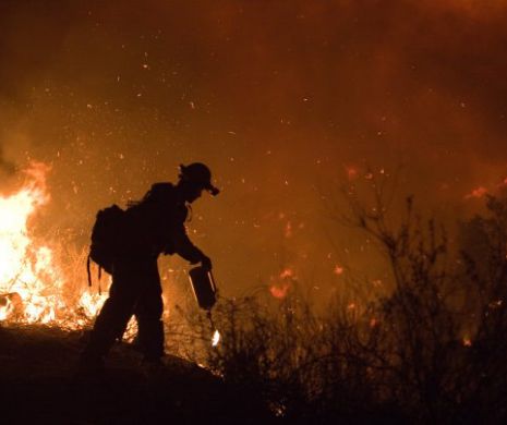 STARE de CATASTROFĂ NATURALĂ. Incendiile au făcut 23 de morți și ai distrus 70.000 de hectare de vegetație