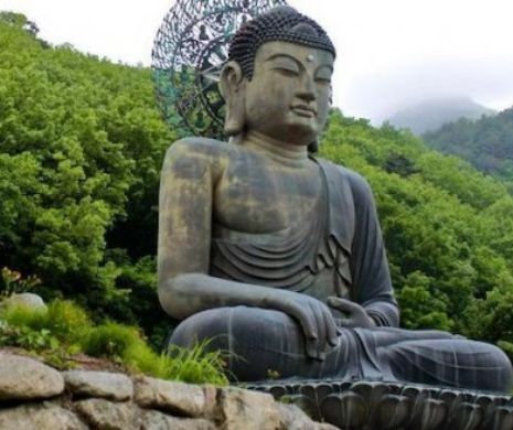 Despre înţelepciunile budiştilor pe timp de pandemie: Cum îţi găseşti calmul şi concentrarea