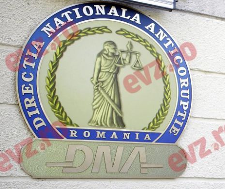 DNA face precizări despre dosarul lui Liviu Dragnea