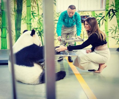 Imagini superbe cu Melania Trump şi un urs PANDA – Foto în articol