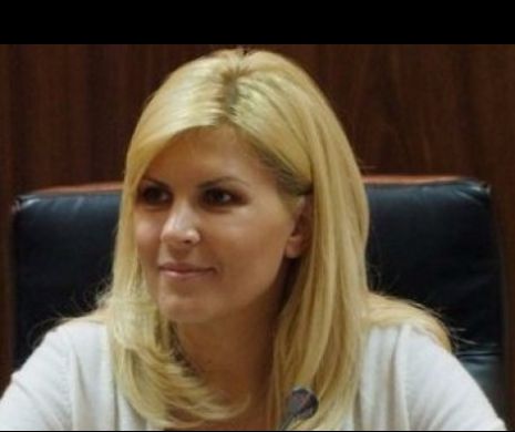 Udrea acuză că PSD a încercat fraudarea alegerilor prezidențiale din 2009