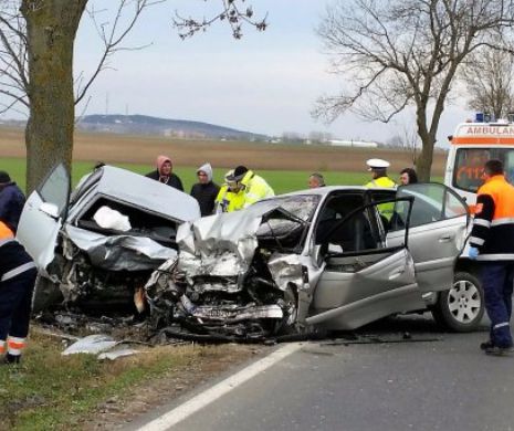 Val de accidente la Constanța. Șofer căutat după ce a lovit o femeie și a fugit. Copii răniți din cauza părinților