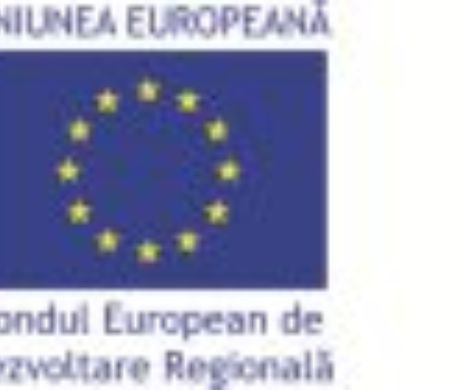 Asistenţă tehnică pentru implementarea Regio la nivelul regiunii Bucureşti – Ilfov în perioada 2016-2017 (P)