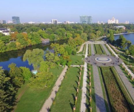 Cel mai mare parc al Capitalei va purta numele Regelui Mihai I. Şi o parte din Bulevardul Kiseleff îşi schimbă denumirea
