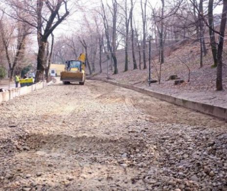 Lucrările din Parcul Romniceanu, obiect de râcă  între Primăria Sector 5, şeful Ordinului Arhitecţilor Bucureşti şi Gebriela Firea