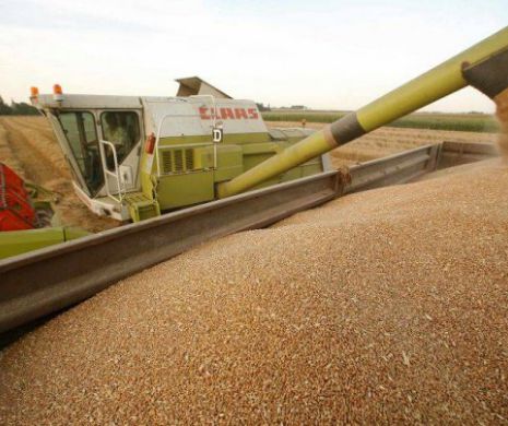 România, al cincilea producător de cereale din Uniunea Europeană