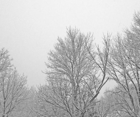 AVERTIZAREA momentului vine de la METEOROLOGI! 28 de judeţe, sub alertă de ninsori abundente şi viscol. VAL de vreme EXTREMĂ în România!
