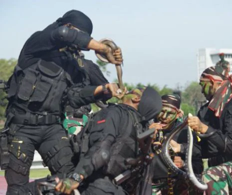 Ca-n filme! Ministrul Apărării, încântat de demonstrațiile soldaților indonezieni, care MUȘCĂ șerpi și le beau SÂNGELE