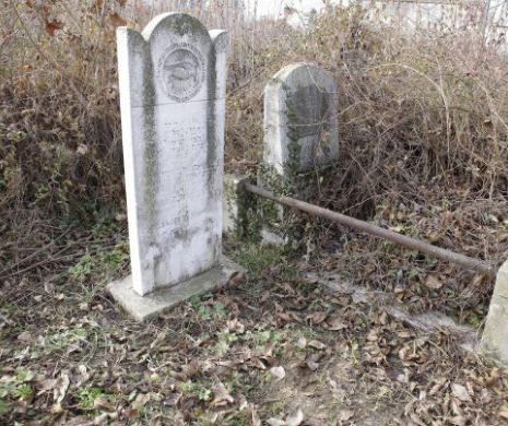 L-am găsit pe Adolf Hittler! Îşi doarme somnul la cimitirul evreiesc Filantropia