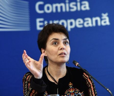 Ambasadoarea Comisiei Europene la București, Filote: lucrător de abator la tinerețe și casap pe Legile Justiției, la maturitate