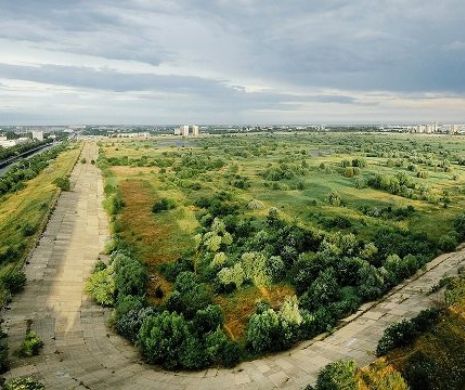 BOMBĂ. STATUL ROMÂN a CONSTATAT că a FURAT terenurile ROMÂNILOR din Lacul VĂCĂREȘTI