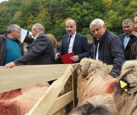 Ce a făcut ministrul AGRICULTURII Petre DAEA la DĂRAC