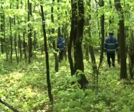 Descoperire MACABRĂ în Maramureș. Pădurea a fost IZOLATĂ de URGENȚĂ de POLIȚIȘTI