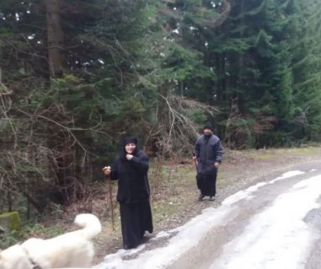 Episcopul homosexual, la plimbare cu maica stareță, prin pădure