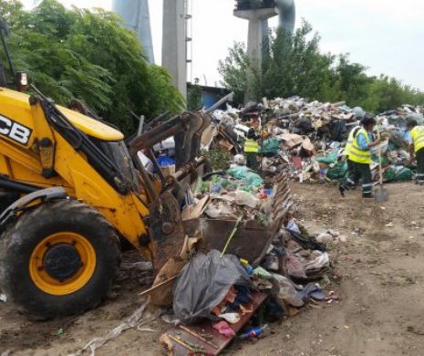 Gabriela Firea: “Ne-am propus ca, până în 2020, 50 la sută din deşeurile din Capitală să fie reciclate”