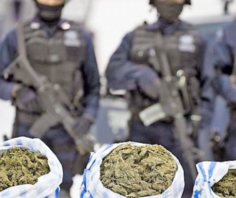 Grupare infracțională de trafic de droguri, din Tulcea, destructurată de DIICOT
