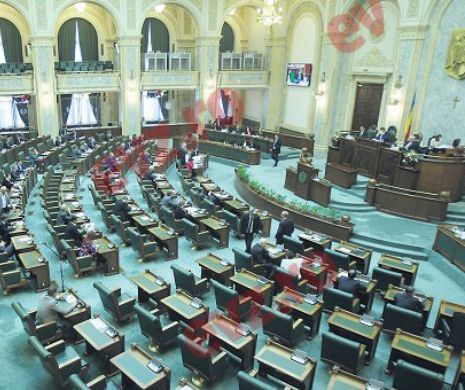 Politicienii au luat ATITUDINE! Legea care poate să rezolve un subiect DELICAT și CONTROVERSAT pentru români