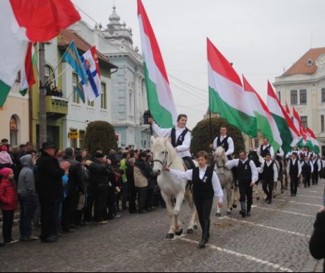 Primarul din Târgu Secuiesc, amendat pentru că nu a arborat steagul României