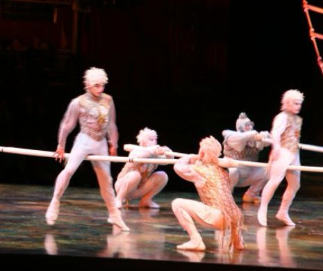 Tragedie FĂRĂ MARGINI la Cirque de Soleil. Un acrobat a MURIT în timpul spectacolului