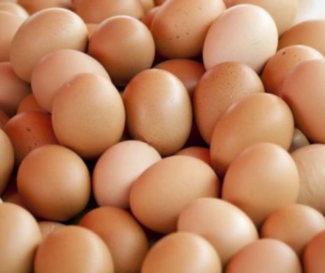 Adio ouălor provenite de la găini crescute în baterii