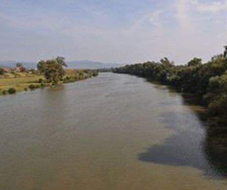 ALERTĂ MAXIMĂ. O tonă de ulei s-a scurs în râul Mureș. Autoritățile au fost atenționate de un pescar