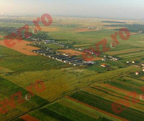Concluzie ALARMANTĂ: Străinii au ajuns să EXPLOATEZE milioane de hectare de teren arabil românesc