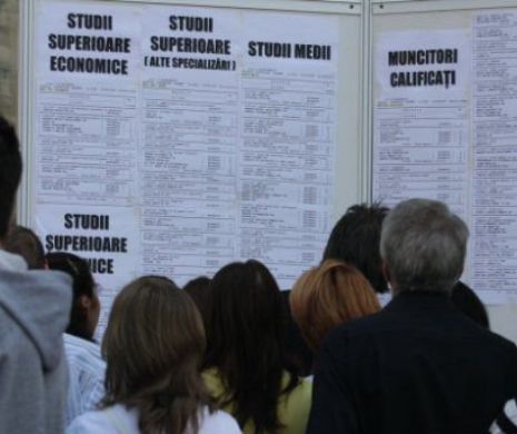 Doar leneșii NU MUNCESC în București: Sunt numei 20 de șomeri CU DIPLOMĂ