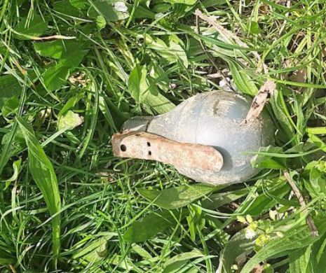 Grenadă găsită, la Hârșova, în curtea unui localnic