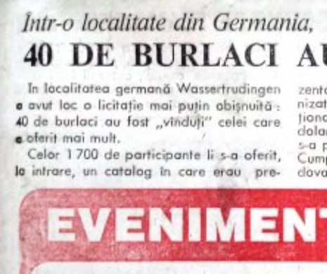 Într-o localitate din Germania, 40 de burlaci au fost vânduţi la licitaţie