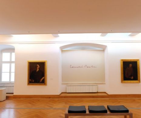 Muzeul de Artă din Timișoara dat în judecată de MNAR pentru restituirea a 27 de picturi de Corneliu Baba