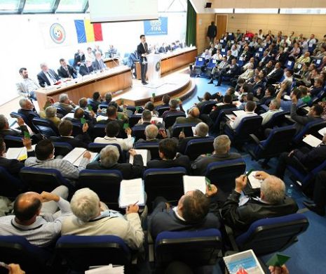 Românii și-au ales președintele FRF! DEZASTRU pentru Răzvan Burleanu