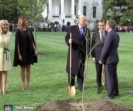 Stejarul lui Macron a fost FURAT! În locul său a rămas o pată galbenă