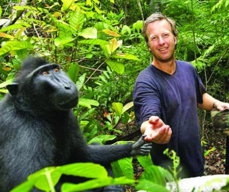 Un fotograf a câştigat un proces cu o maimuţă. Un macac nu poate pretinde drepturi de autor pentru un selfie