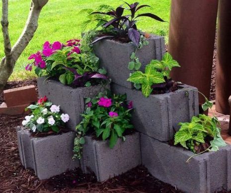Vă puteți face o grădină oriunde cu aceste simple idei de amenajare