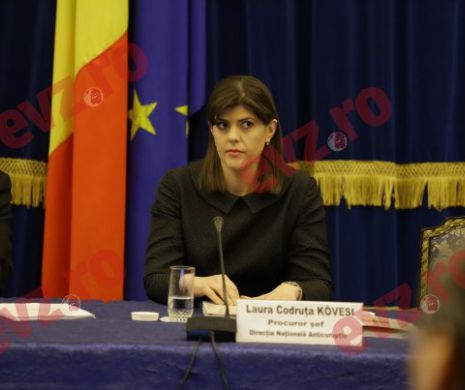 Domeniul sănătății, vizat de DNA. Anunțul făcut de Laura Codruța Kovesi