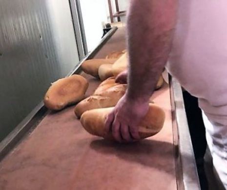 Fabrică de pâine, închisă de Protecția Consumatorilor Constanța. Produse pline de praf, trimise spre vânzare