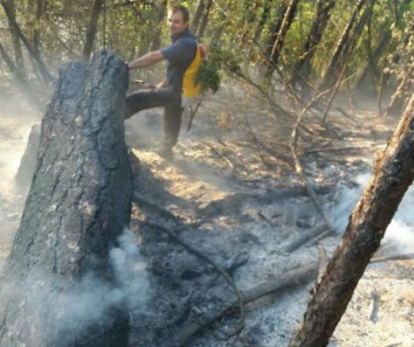 Incendiul din Parcul Natural Domogled nu a fost lichidat. Focul arde de OPT ZILE