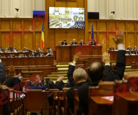 Parlamentarii le-au dat primarilor liber la afaceri