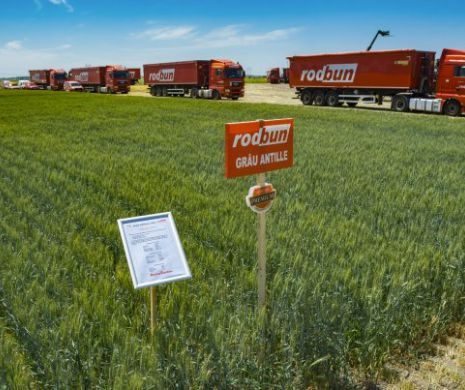 Premieră pe piața agricolă românească: monitorizarea culturilor prin satelit