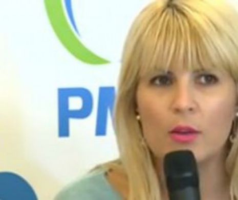 Udrea: PMP a ajuns să susțină lucrurile pe care le susține, nu e partidul la care am lucrat eu