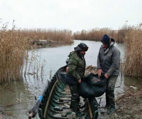 20 de români şi polonezi acuzaţi că fură peşte din lacurile englezeşti