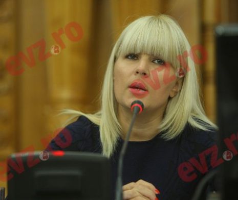 Ce a făcut Elena Udrea cu PUȚIN TIMP înainte de condamnare