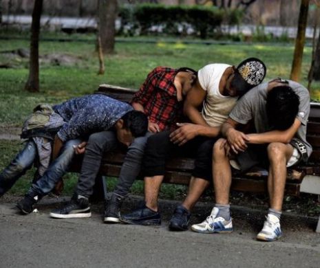 Drogurile îi transformă pe tinerii din Cluj în ”zombi”. Ultima scenă: Parcul Central unde patru tineri erau ”loviți”
