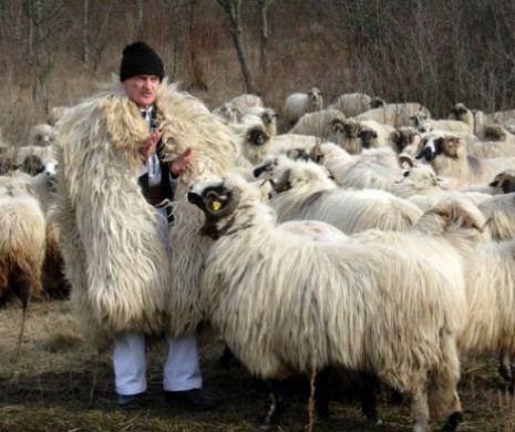 Nea Ştefan Gros, ciobanul hunedorean, s-a pensionat la 100 ani şi şase luni