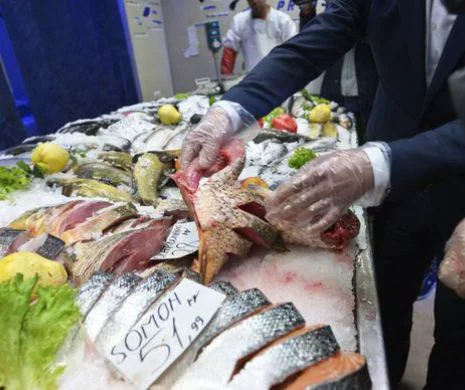 Prea PESCĂREASCĂ! Au vândut tone de pește după ce i-au colorat carnea artificial