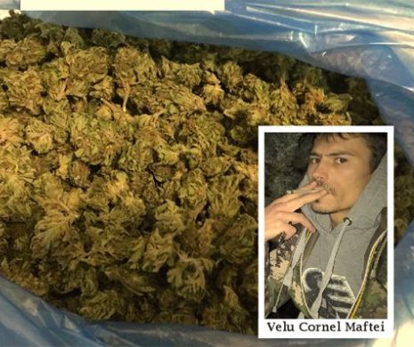 BÂRLAD. Un traficant de droguri a declarat că 20 de kilograme  de cannabis erau pentru consum propriu