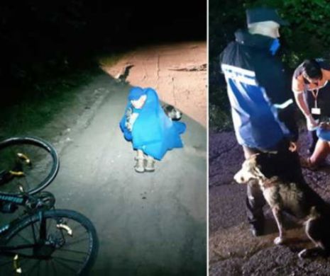 Biciclist accidentat salvat de un câine fără stăpân