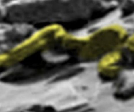 Imagini ŞOCANTE cu un UMANOID descoperit pe Marte. FOTO în articol