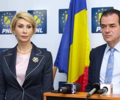 Liviu Pleşoinau: PNL a ajuns SCLAVUL Noii Securităţi! Se OPUN votului pentru raportul Comisiei SIPA