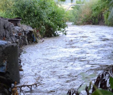 Pericol de inundații în Banat: se umflă râurile